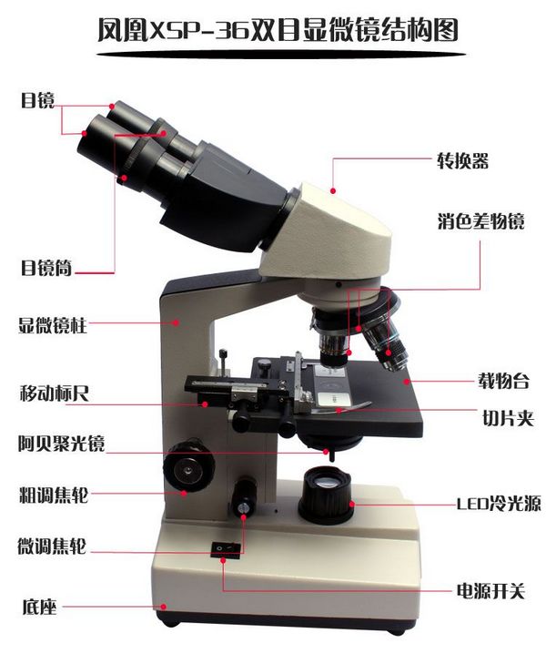 双目微生物显微镜